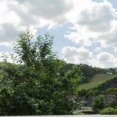 Apartment Luxusferienwohnung Moselruhe Mit Grosser Terrasse Und Schoenem Ausblick